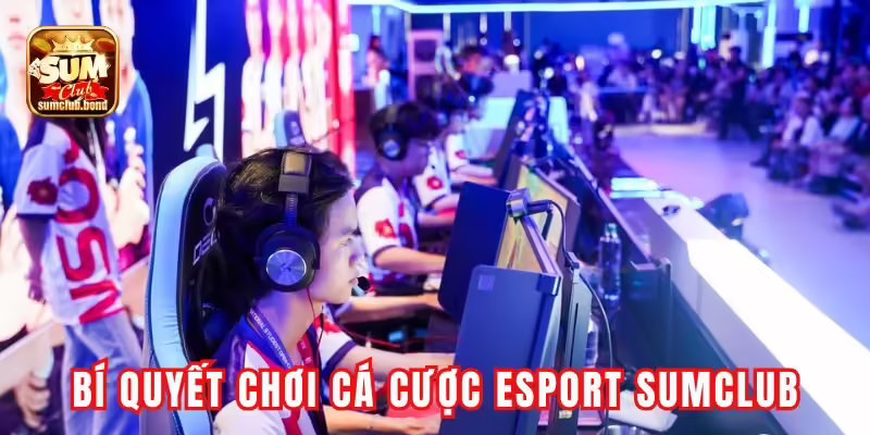 Bí quyết chơi cá cược esport tại Sumclub hiệu quả Bí quyết chơi cá cược esport tại Sumclub hiệu quả