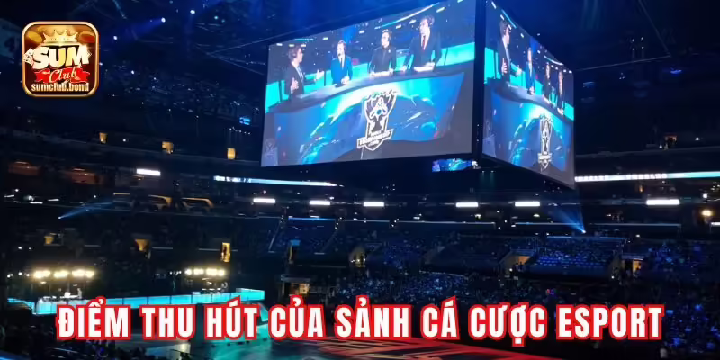 Những điểm thu hút của sảnh cá cược esport tại Sumclub Những điểm thu hút của sảnh cá cược esport tại Sumclub