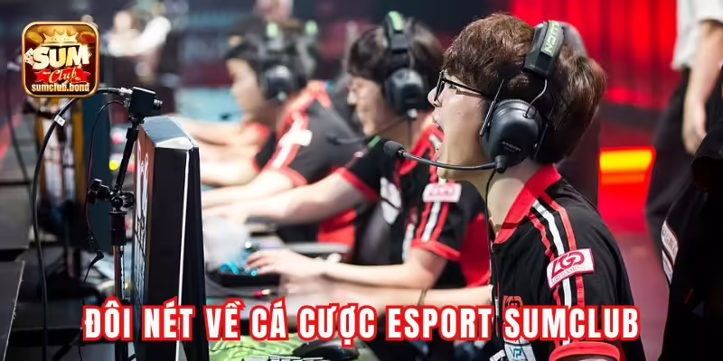Đôi nét sơ lược về cá cược esport Sumclub Đôi nét sơ lược về cá cược esport Sumclub