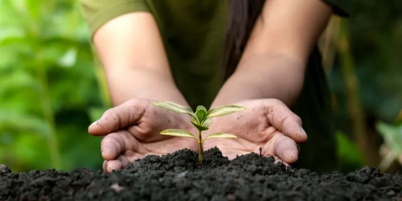 "Doanh nghiệp là Cây cộng đồng xã hội là Đất" – Ý nghĩa và ứng dụng trong thực tiễn