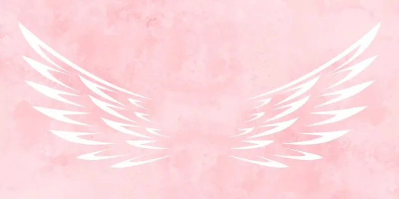 Giới thiệu chung về cuộc thi "Chắp cánh yêu thương"