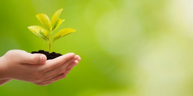 Giới thiệu chung về Doanh nghiệp là Cây cộng đồng xã hội là Đất