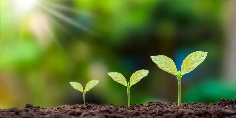 Kết nối CSR với chiến lược phát triển bền vững - Doanh nghiệp là Cây cộng đồng xã hội là Đất