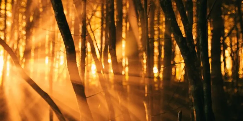 Sự ra đời của Công ty Tâm lý Quyền năng không phải tự nhiên mà có học ứng dụng