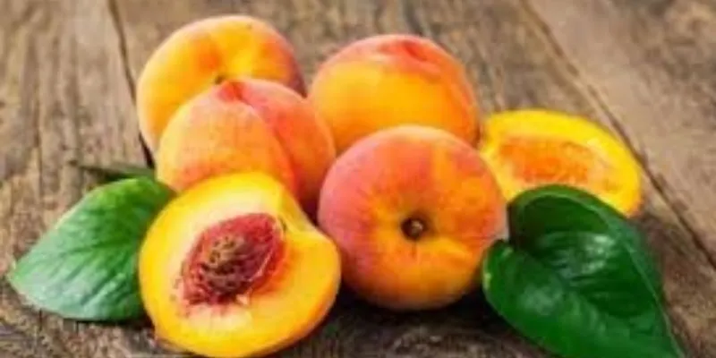 những thực phẩm